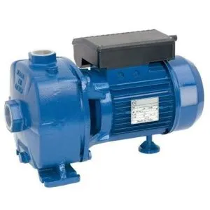 BOMBA REGGIO SSBJ 150 T 1,5HP 380V