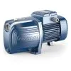BOMBA AUTOCEBANTE PEDROLLO Future Jet JETm 2C-ST 1HP 230V 2