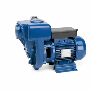 BOMBA AUTOCEBANTE REGGIO HG 100-9.5 12,5HP 400V